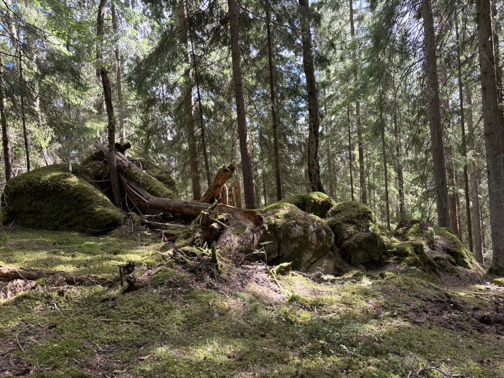 Ljungås Natur- och Kulturreservat, Sweden
