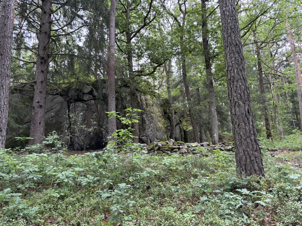 Hjortmarka Naturreservat, Sweden
